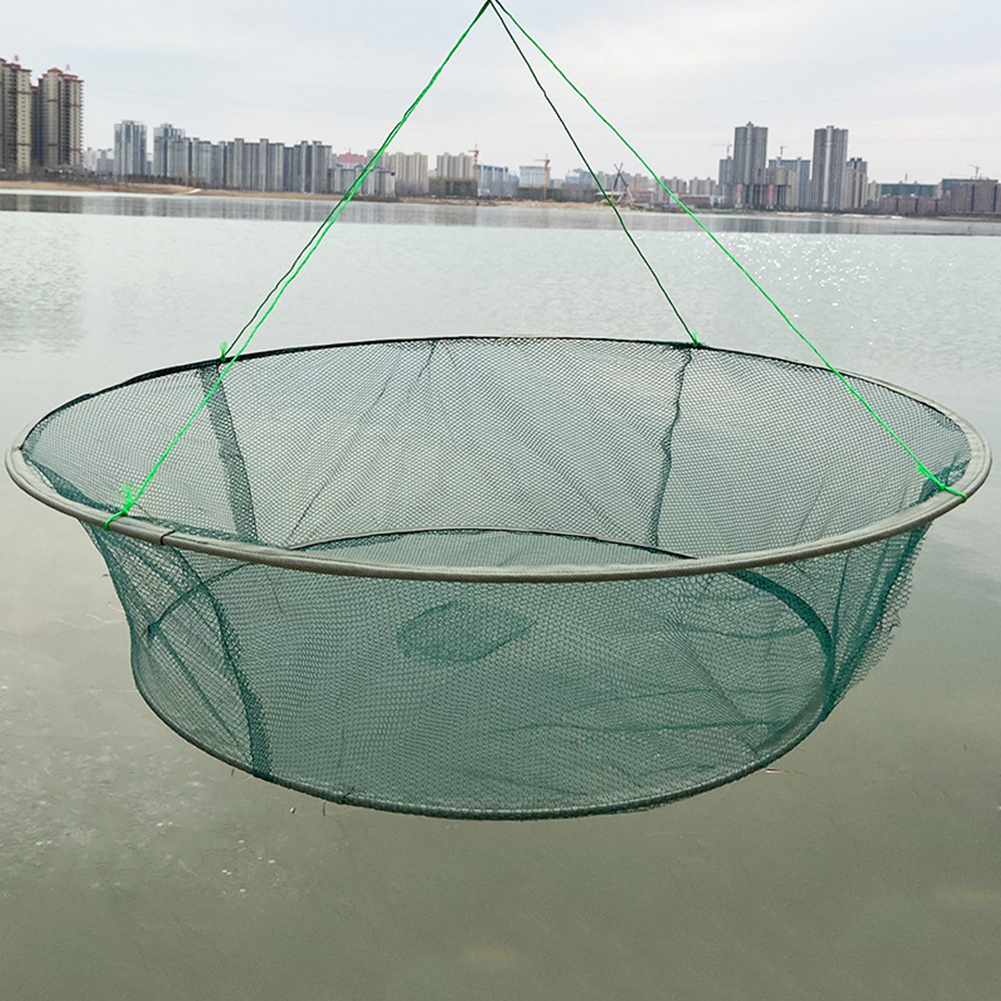 Foldable Fishing Net Portable  - Fishing Net 评论和价格